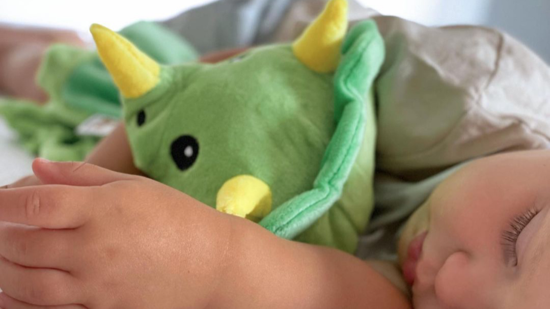 Image of toddler boy sleeping peacefully using his Love By Emi Dash the Dinosaur as comfort